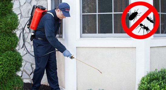 Hekimhan Hamam Böceği İlaçlama böcek ilaçlama ve haşere kontrolü — ilaclama-tr.com